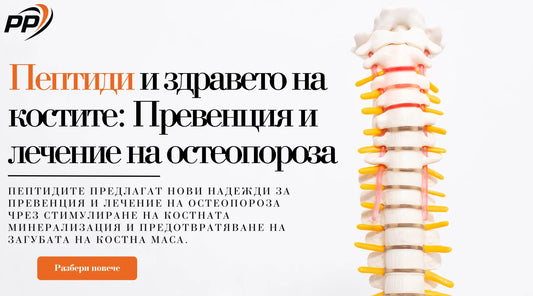 Пептиди и здравето на костите: Лечение на остеопороза